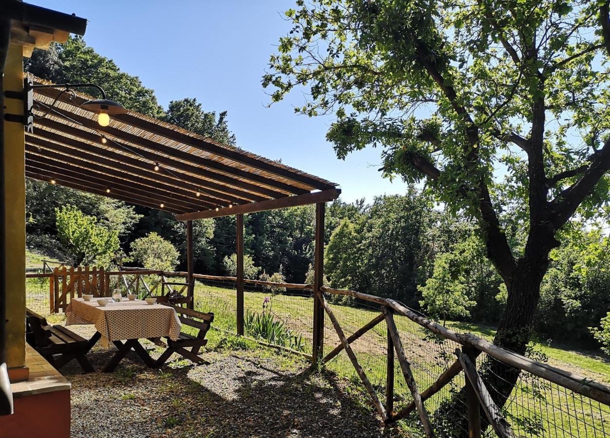 Agriturismo Fattoria La Prugnola Montescudaio Exteriör bild