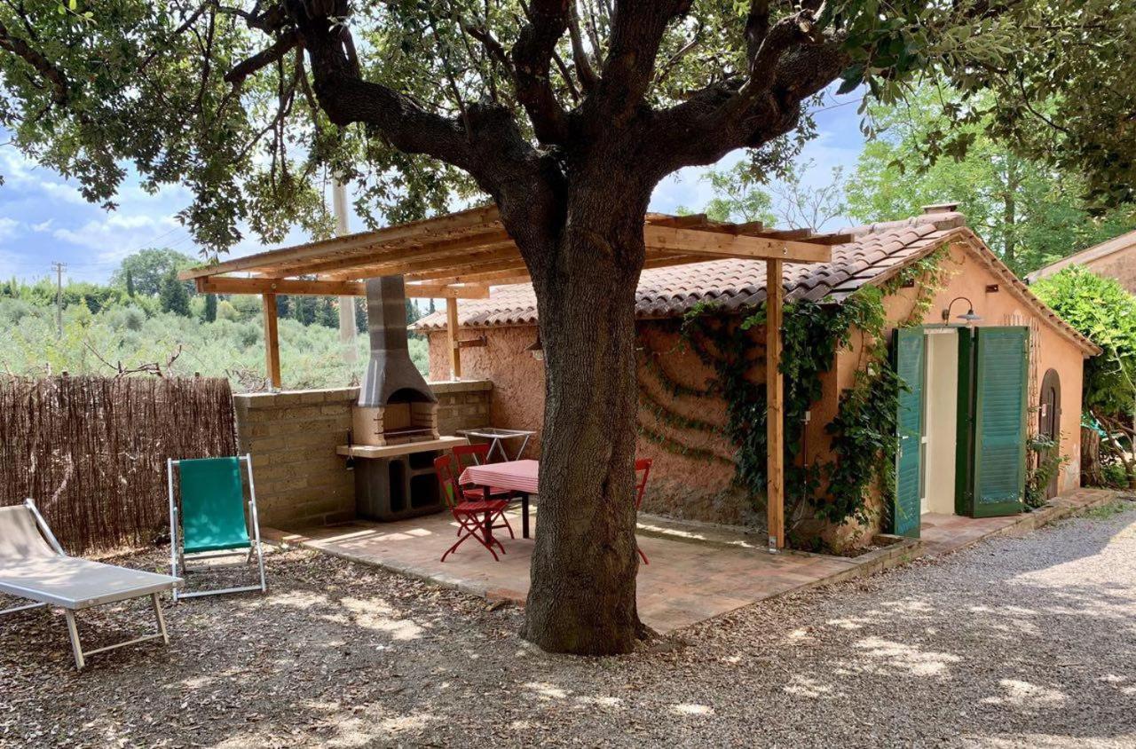 Agriturismo Fattoria La Prugnola Montescudaio Exteriör bild