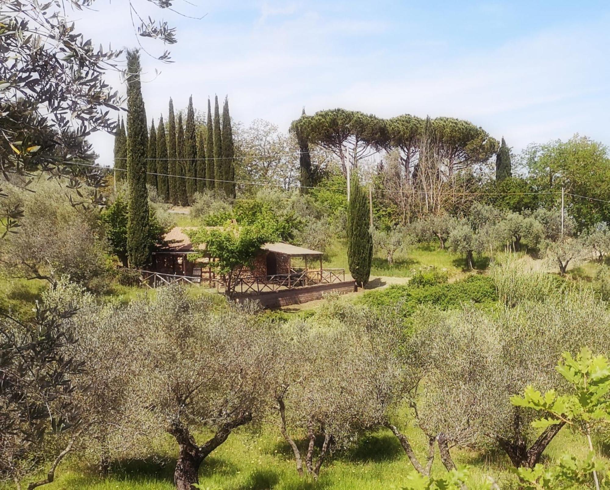 Agriturismo Fattoria La Prugnola Montescudaio Exteriör bild