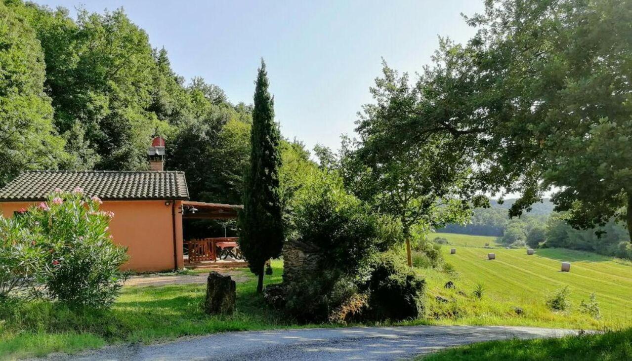 Agriturismo Fattoria La Prugnola Montescudaio Rum bild