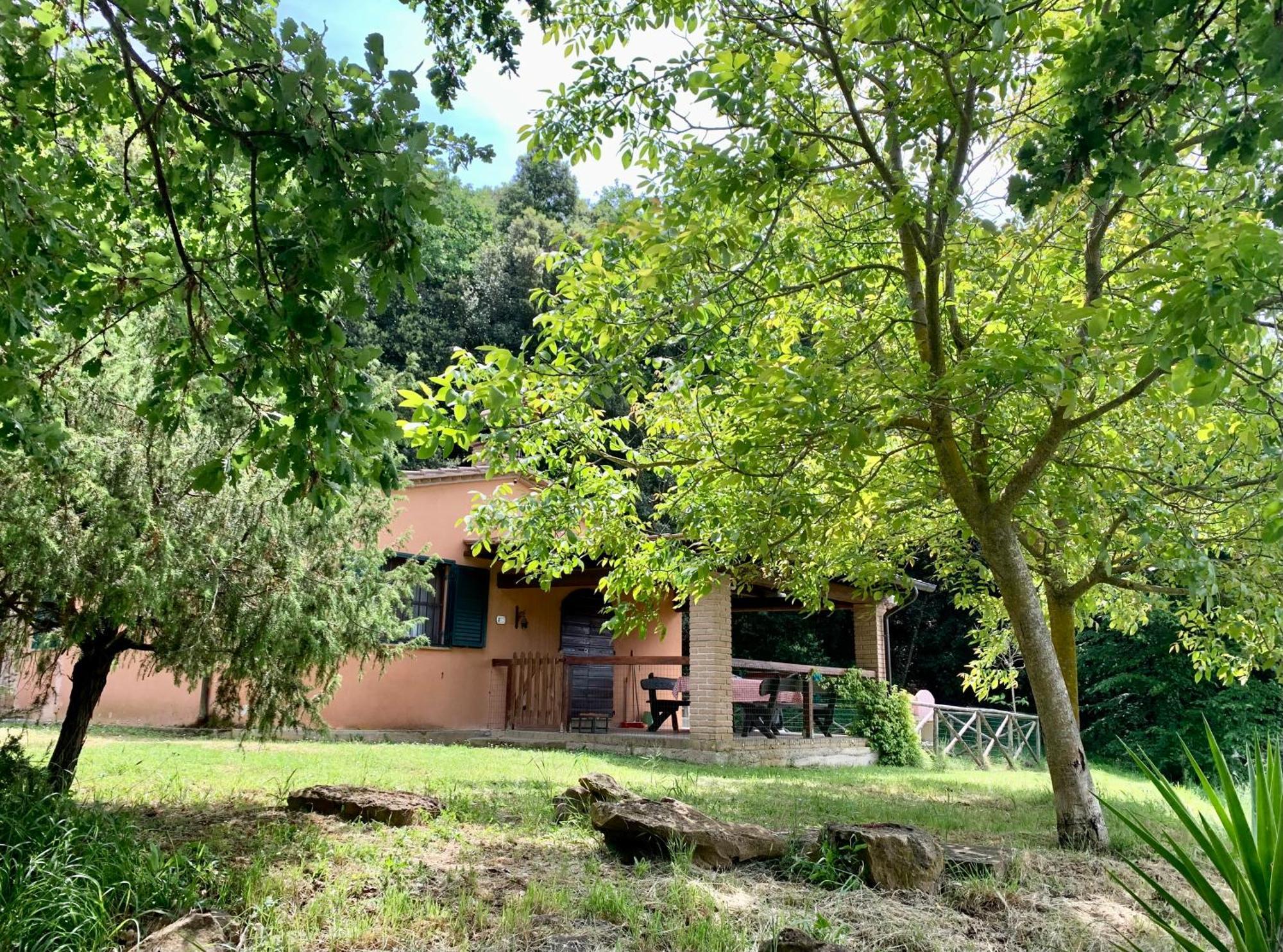 Agriturismo Fattoria La Prugnola Montescudaio Exteriör bild
