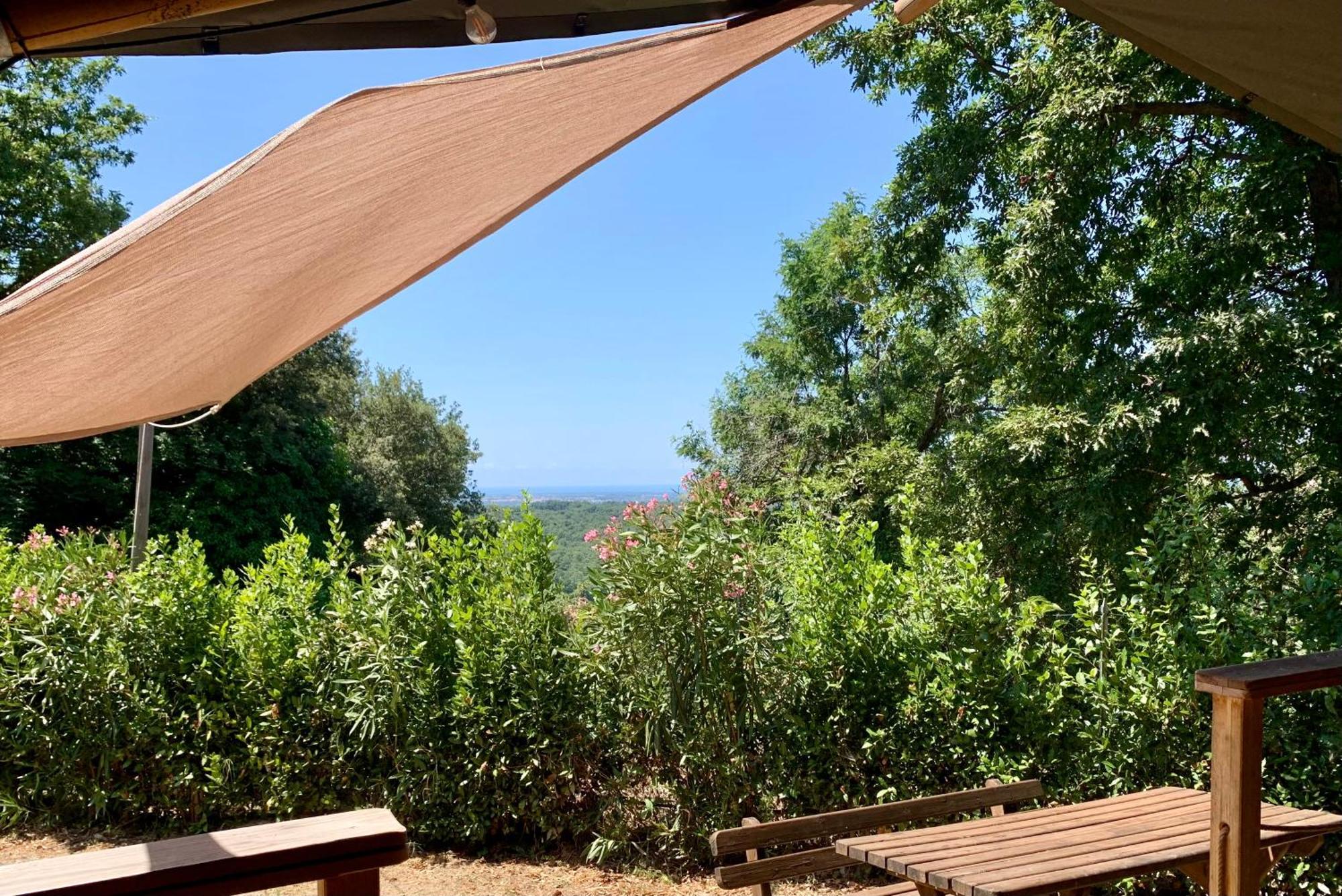 Agriturismo Fattoria La Prugnola Montescudaio Rum bild