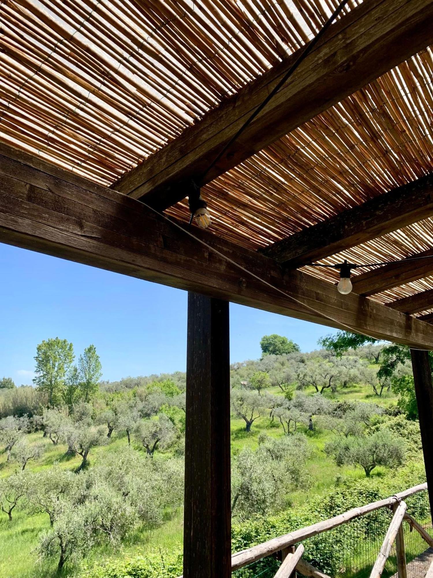 Agriturismo Fattoria La Prugnola Montescudaio Rum bild