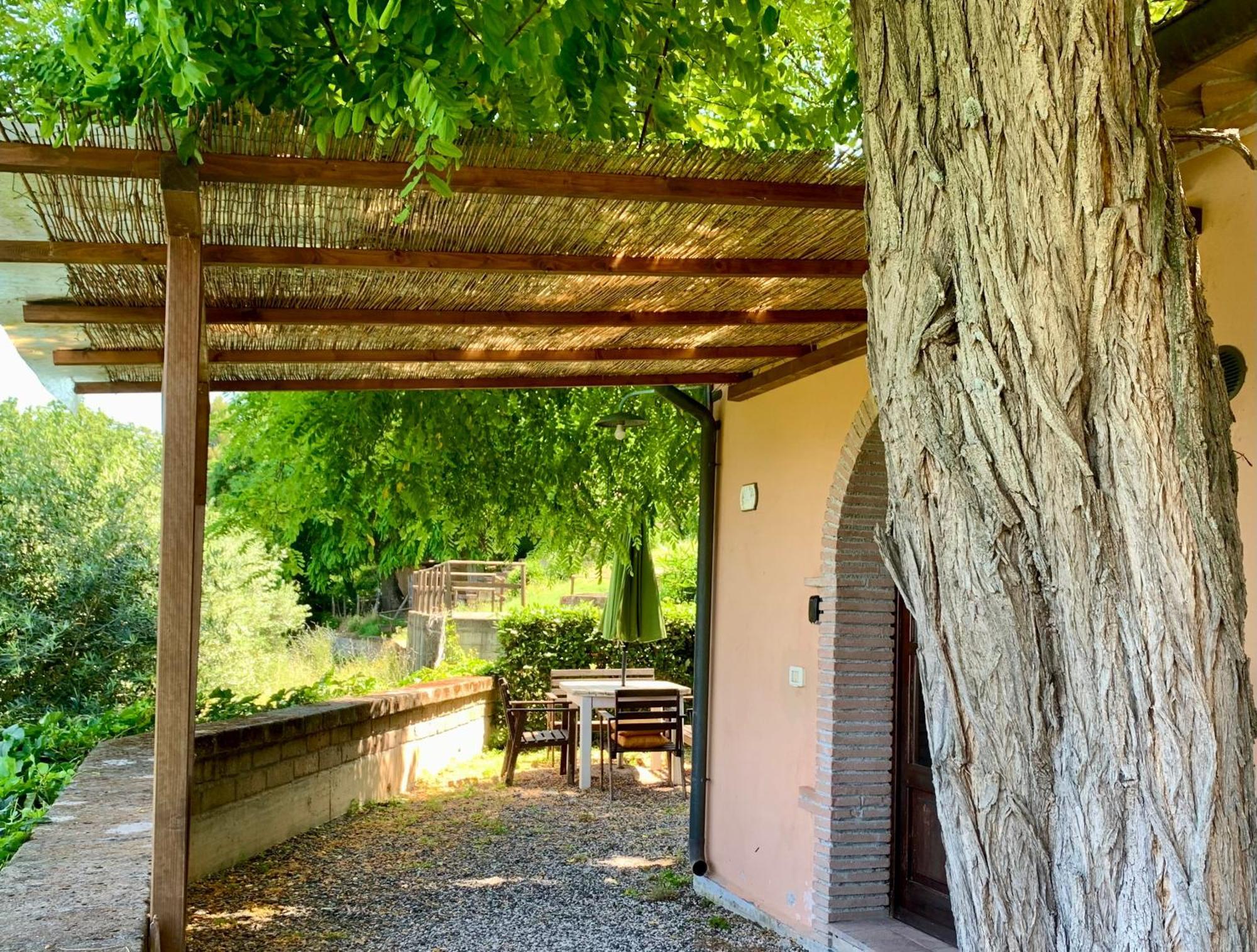Agriturismo Fattoria La Prugnola Montescudaio Exteriör bild