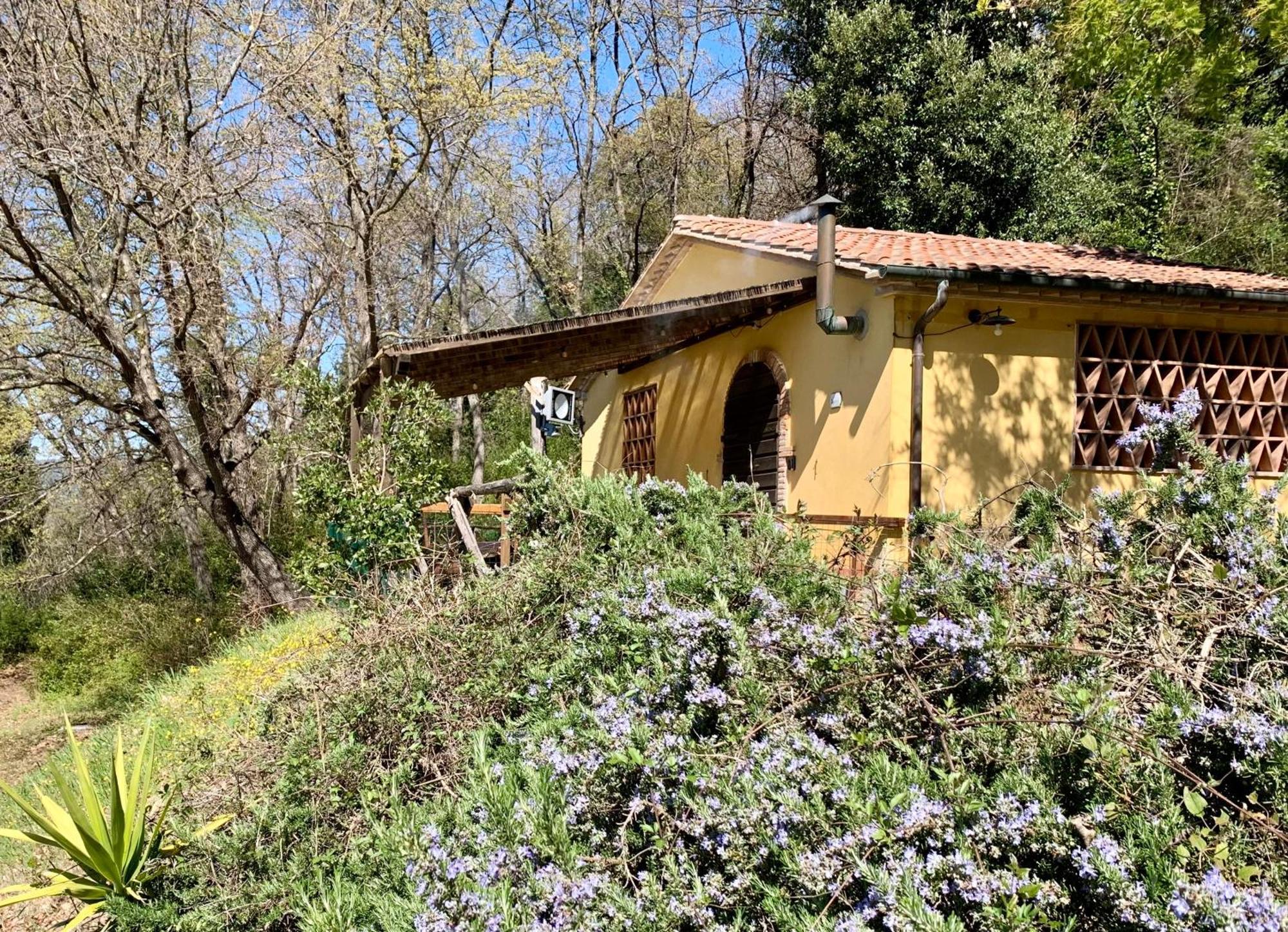 Agriturismo Fattoria La Prugnola Montescudaio Rum bild