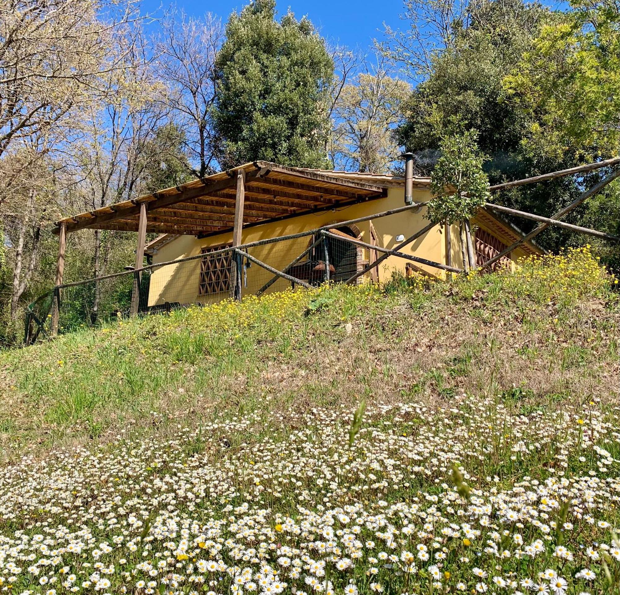 Agriturismo Fattoria La Prugnola Montescudaio Exteriör bild