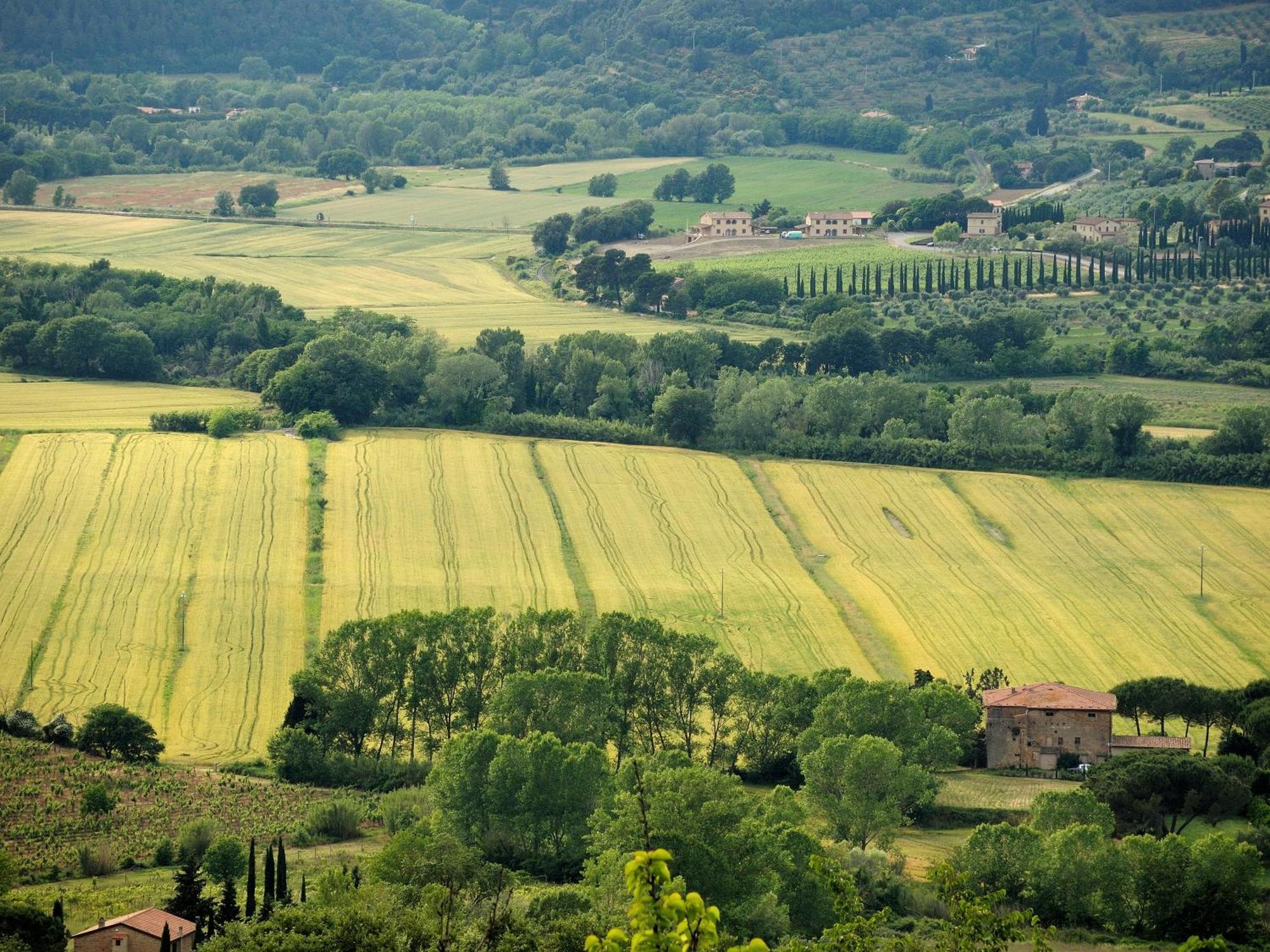 Agriturismo Fattoria La Prugnola Montescudaio Exteriör bild